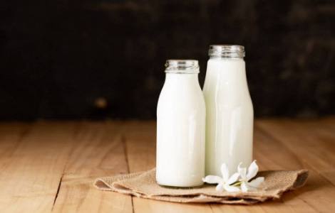 Kõige kasulikum piim